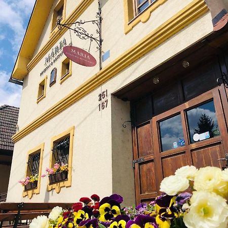 Maria Penzion & Restaurant Тренчин Екстер'єр фото