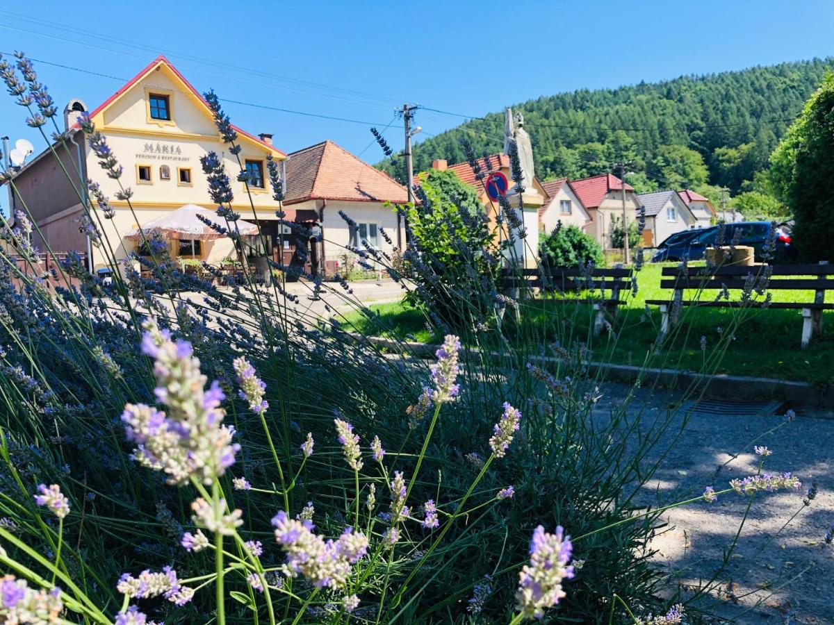 Maria Penzion & Restaurant Тренчин Екстер'єр фото